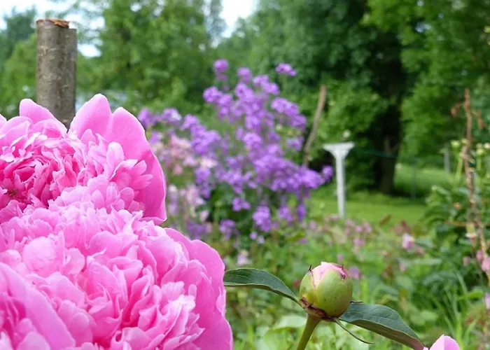 公寓 Wolfrum Berg (Hof)